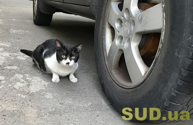 Водителям напомнили о необходимости замены летней резины на зимнюю