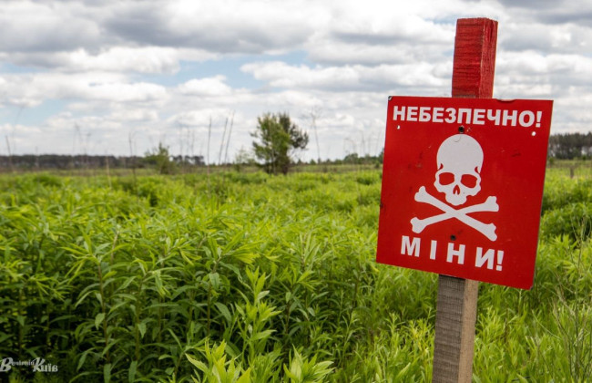 Швейцария предоставит Украине €100 млн на гуманитарное разминирование