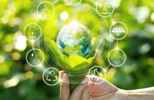 Верховный Суд сделал вывод об обстоятельствах, обусловливающих обязательное проведение стратегической экологической оценки документов государственного планирования