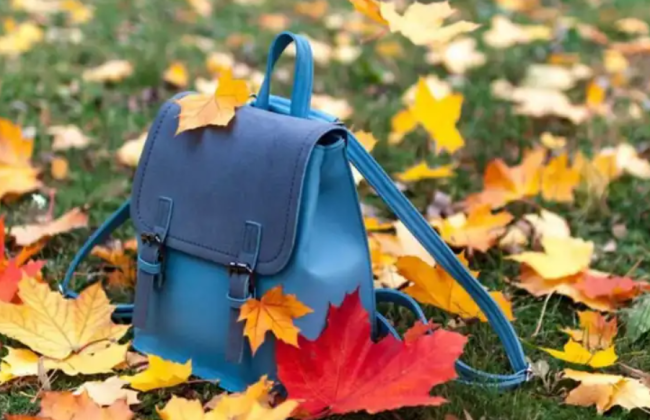 Когда начнутся осенние каникулы для столичных школьников: ответ КГГА