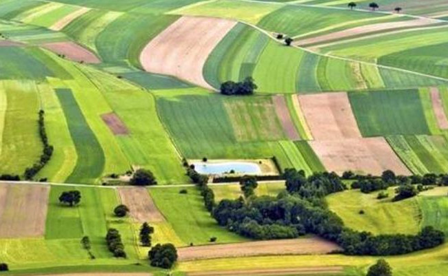 Проведение массовой оценки земель: Кабмин согласовал пилотный проект