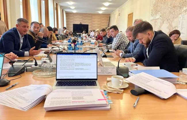 Комитет рекомендовал законопроект о Госбюджете на 2024 год до первого чтения — Роксолана Пидласа