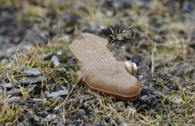 В Харьковской области 14-летний мальчик подорвался на противопехотной мине