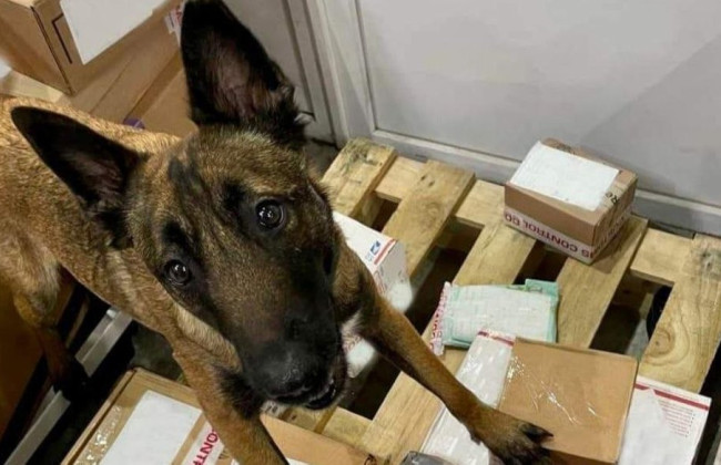 Более 4 тонн психотропных веществ и прекурсоров таможенники не пустили в Украину в этом году