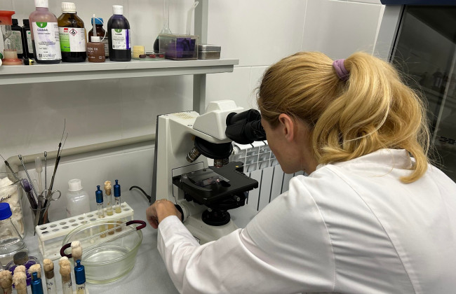 Минобороны забраковало более 60 тонн некачественных продуктов для ВСУ