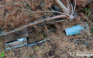 На Житомирщині чоловік шукав у лісі гриби, а знайшов склад боєприпасів, фото