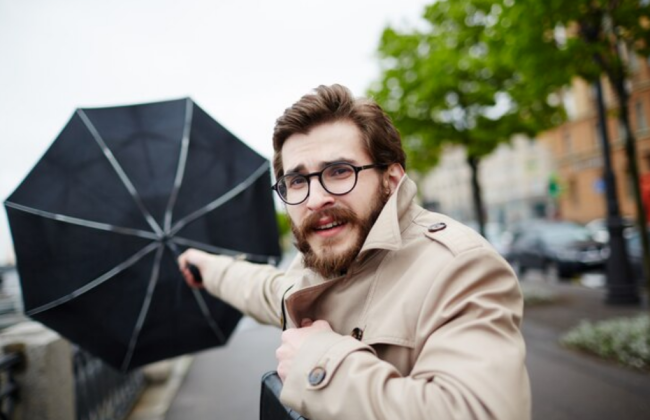 В Киеве в понедельник ожидают сильные порывы ветра