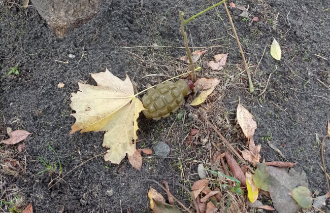 В Оболонском районе Киева мужчина под деревом возле дома нашел предмет, похожий на гранату