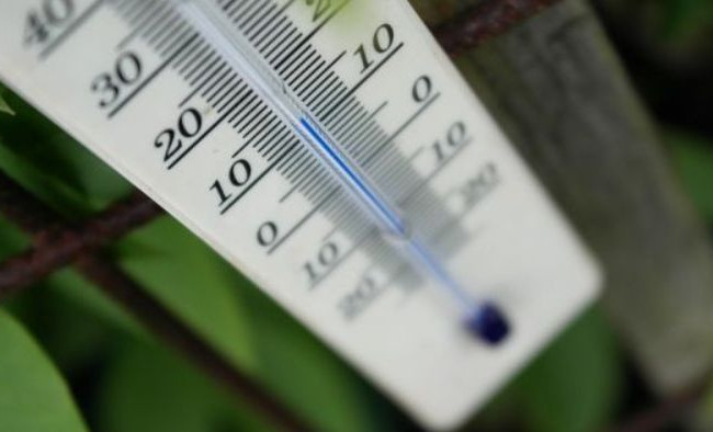 В Киевской области зафиксировали ряд температурных рекордов