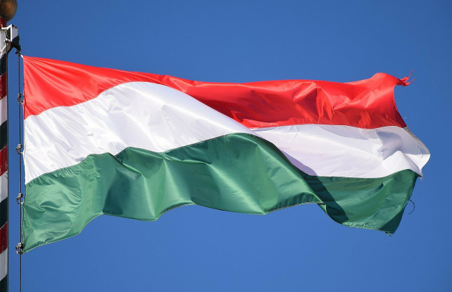 Парламент Венгрии отказался рассмотреть заявку Швеции на вступление в НАТО, — СМИ