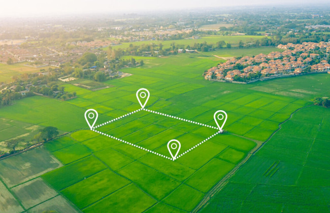 Является ли льготой неуплата платы за заминированные земельные участки, не являющиеся объектом налогообложения: ответ ГНС