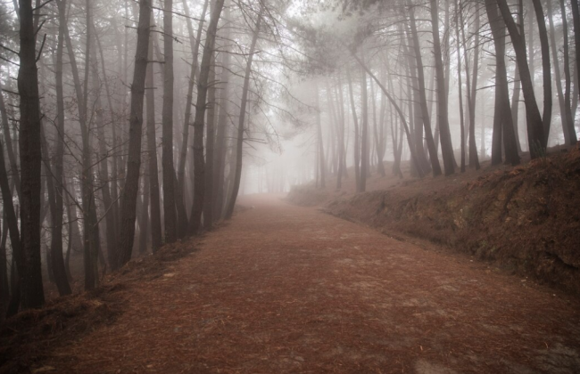 В Киеве утром 26 октября туман, видимость 200-500 м – Укргидрометцентр