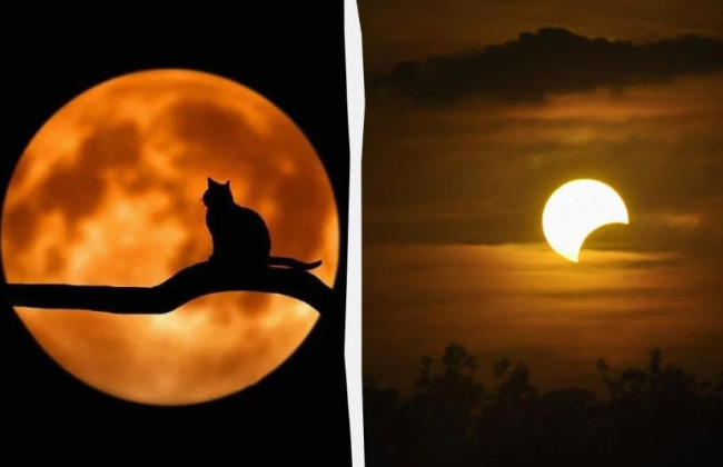 В Украине можно будет наблюдать последнее лунное затмение в 2023 году: как и когда