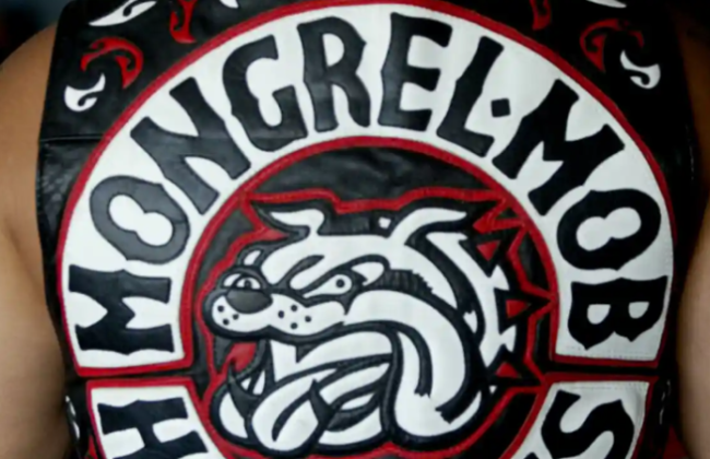 Бандам Новой Зеландии придется прикрывать тату макияжем