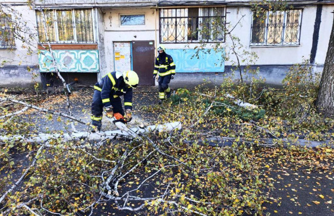 В Украине бушует непогода: ГСЧС напоминает правила поведения при сильном ветре