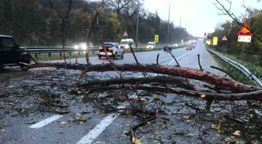 У Києві дерево впало на чоловіка, він помер від отриманих травм, — КМДА