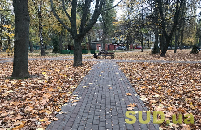 Какая погода будет в Украине 29 октября и до конца месяца: прогноз