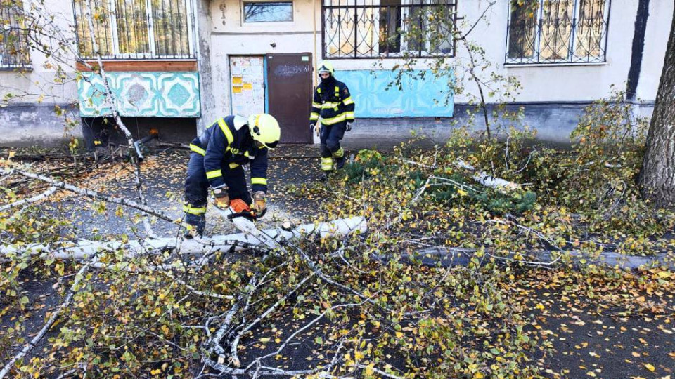 В Украине бушует непогода: ГСЧС напоминает правила поведения при сильном ветре