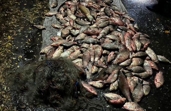 На Полтавщине браконьер наловил рыбы более чем на 800 тысяч гривен