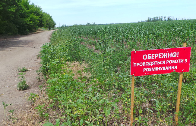 Фермеров просят не проводить разминирование своими силами