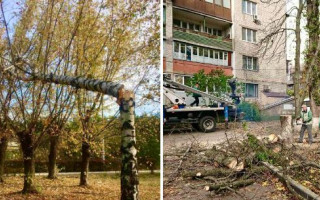Наслідки негоди: у Києві буревій поламав понад 1200 дерев
