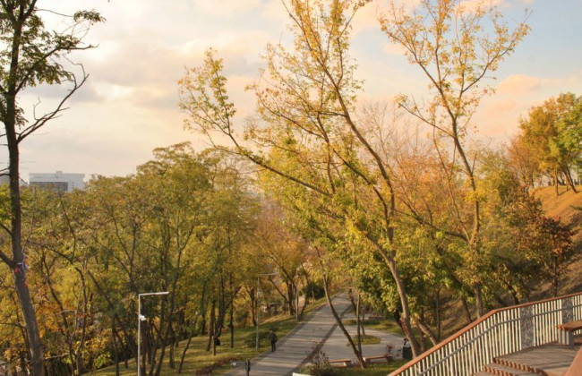 В Киеве зафиксировали новый температурный рекорд — уже 40-й с начала года