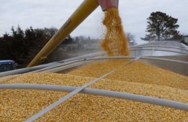 Кабмин вводит новые правила для экспорта агропродукции в условиях военного положения