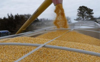 Кабмін вводить нові правила для експорту агропродукції в умовах воєнного стану