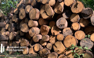 Незаконна рубка дерев у волинському заповіднику: в управління держави повернуто понад 600 кубометрів лісу