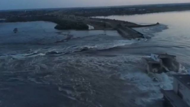 Теракт на Каховській ГЕС призвів до забруднення токсинами Чорного моря: гине риба та дельфіни