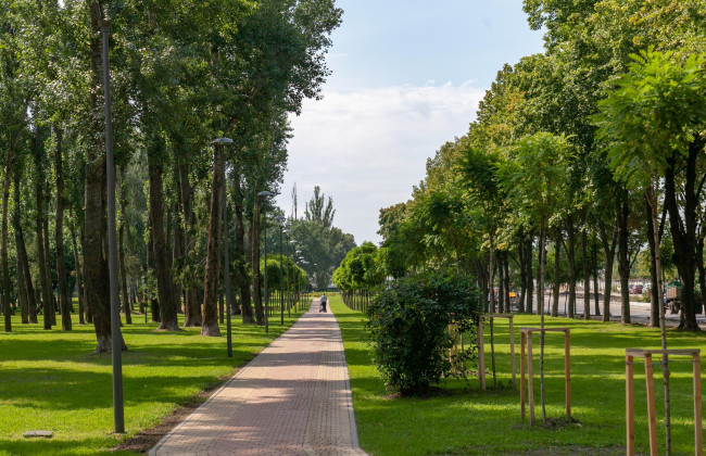 Застройка парка в Киеве: НАБУ и САП сообщили о подозрении заместителю главы КГГА