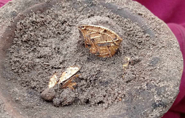 В Киевской области нашли золотые украшения времен Гетманщины