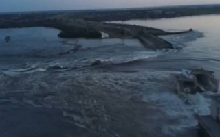 Теракт на Каховській ГЕС призвів до забруднення токсинами Чорного моря: гине риба та дельфіни