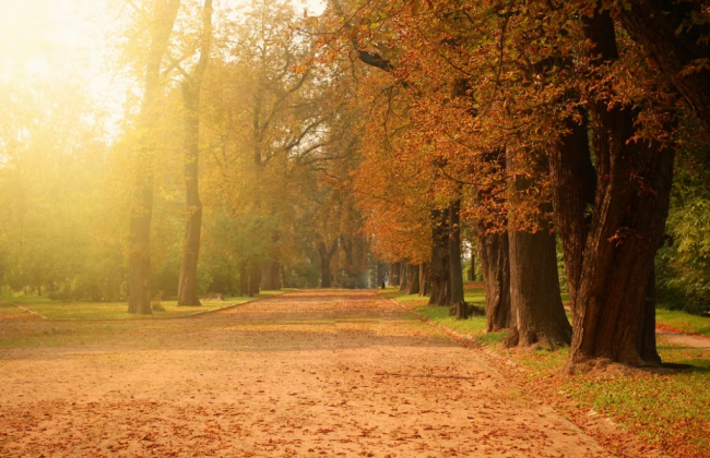 Синоптики дали прогноз на 3 ноября: чего ожидать от погоды в Киеве и области