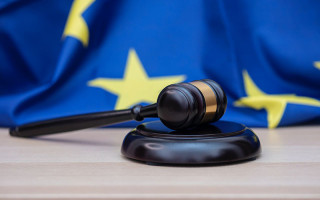 Захист персональних даних, прикордонний контроль, притулок та імміграція: огляд практики Суду ЄС