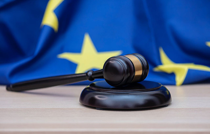 Захист персональних даних, прикордонний контроль, притулок та імміграція: огляд практики Суду ЄС