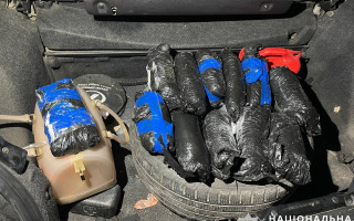 Перевозила 12 кг наркотиків в автомобільній шині: у Києві затримали наркокур'єрку