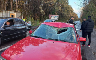 На Закарпатті водій Audi на блокпосту збив прикордонника