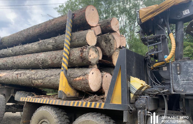 Незаконные рубки на 2,2 млн гривен: перед судом предстанут лесники из Буковины