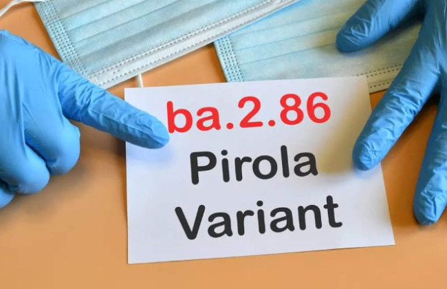 Коронавирус «Пирола» обнаружили в Украине: в Минздраве назвали его симптомы