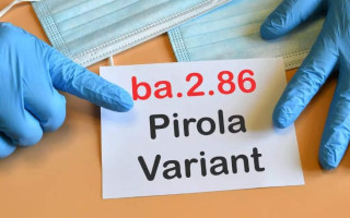 Коронавірус «Пірола» виявили в Україні: у МОЗ назвали його симптоми