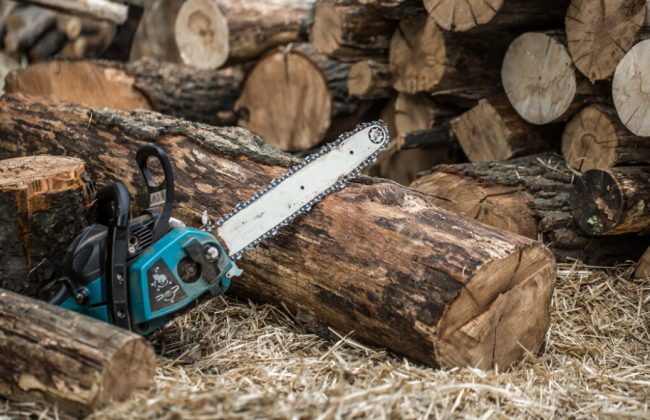 Кабінет Міністрів збільшив субсидію на придбання дров до 16 200 грн