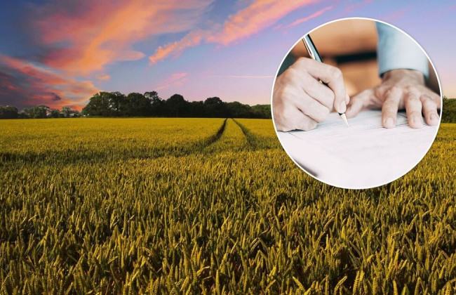 Стало известно, начисляется ли налог на доходы физлиц на продажу унаследованной земли