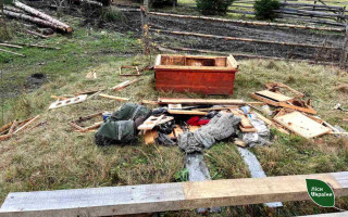 У Карпатах ведмеді розгромили пасіку та з'їли мед, фото