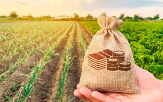 Чи сплачується єдиний податок за земельні ділянки у консервації: роз’яснення