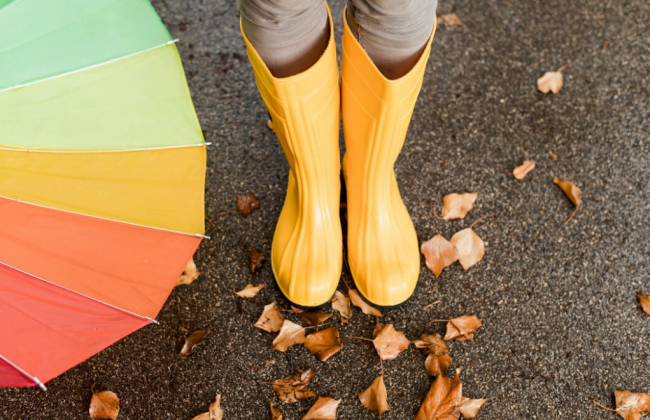 Синоптики прогнозируют ухудшение погодных условий на выходные в Украине