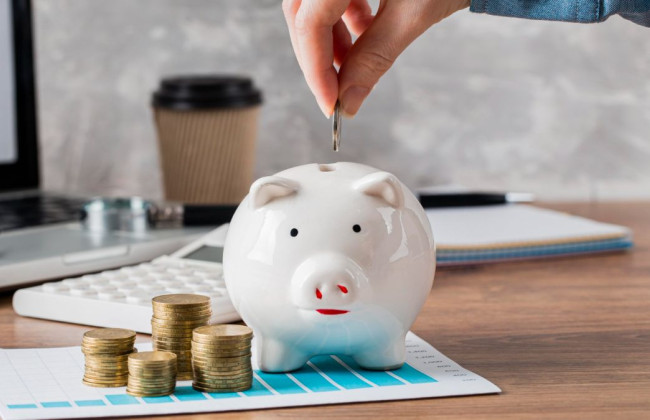 Могут получать помощь ВПЛ, которые имеют депозит: ответ