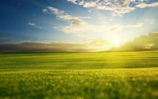 Для яких земель та паїв не визначається мінімальне податкове зобов’язання: роз’яснення