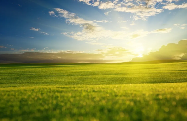 Для каких земель и паев не определяется минимальное налоговое обязательство: разъяснение