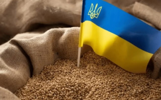 Латвія виділить 50 тисяч євро на підтримку постачання українського зерна світовим партнерам